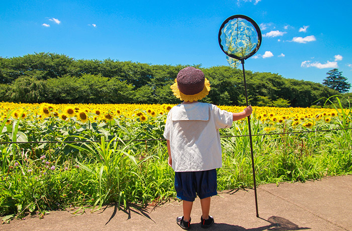 災害時も口腔ケアが大切